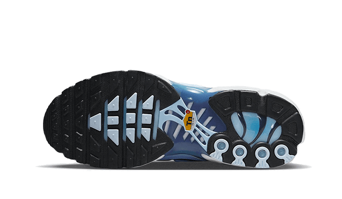 Nike Air Max Plus Celestine Blue (Women's)-sneakers-Nike-pikastore.cz