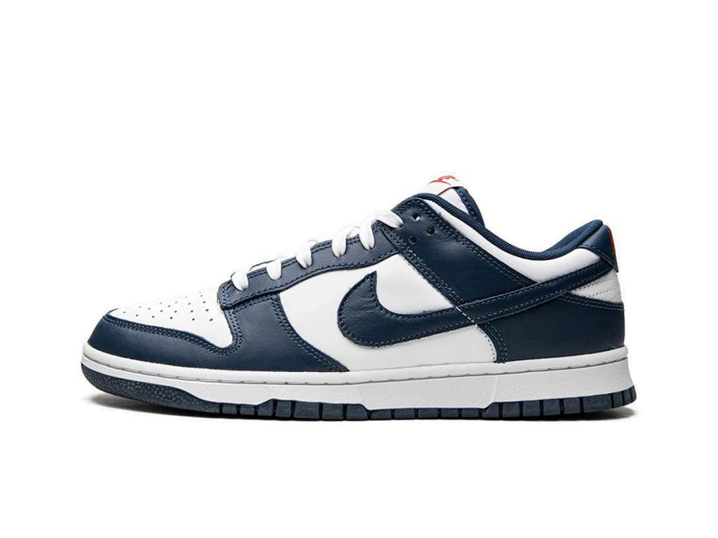 Nike Dunk Low Valerian Blue-sneakers-Nike-pikastore.cz