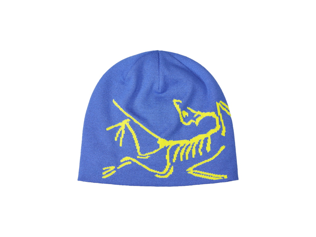 Arcteryx Lightweight Bird Head Toque Beanie Electra-Arcteryx-pikastore.cz