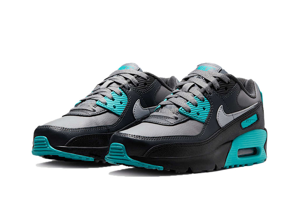 Nike Air Max 90 LTR Cool Grey Dusty Cactus Black Wolf Grey (GS)-Nike-pikastore.cz
