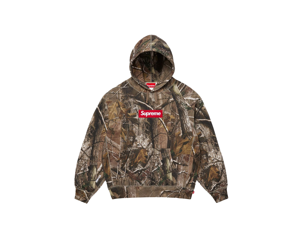 Supreme Box Logo Hooded Sweatshirt (FW25) Realtree AP Camo-Supreme-pikastore.cz