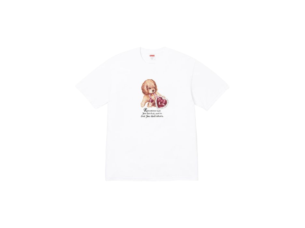 Supreme Dust Tee White-Supreme-pikastore.cz