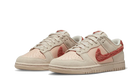 Nike Dunk Low Terry Swoosh (Women's)-sneakers-Nike-pikastore.cz