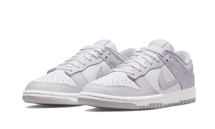 Nike Dunk Low Venice (Women's)-sneakers-Nike-pikastore.cz