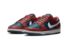 Nike Dunk Low Retro Canyon Rust (Women's)-sneakers-Nike-pikastore.cz