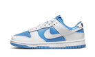 Nike Dunk Low Reverse UNC (Women's)-sneakers-Nike-pikastore.cz