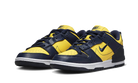 Nike Dunk Low Disrupt 2 Michigan (Women's)-sneakers-Nike-pikastore.cz