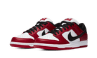 Nike Dunk Low SB J-Pack Chicago 2024-Nike-pikastore.cz