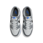 Nike Dunk Low Cool Grey Light Photo Blue (GS)-sneakers-Nike-pikastore.cz