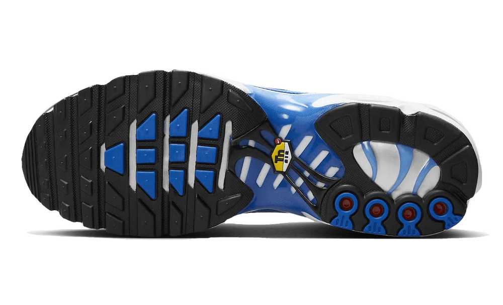 Nike Air Max Plus Light Photography - Old Royal-Nike-pikastore.cz