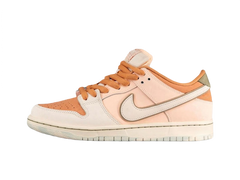 Nike Dunk Low SB Trocadero Gardens