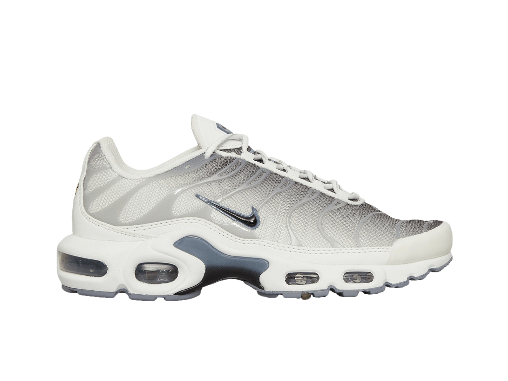 Wmns Air Max Plus Smoke Grey Ashen Slate