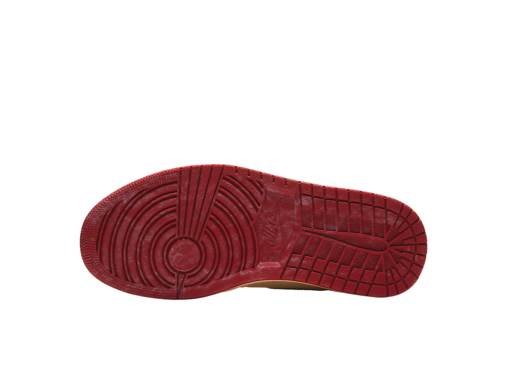 Nigel Sylvester x Air Jordan 1 Retro High OG Nigel Sylvester-Air Jordan-pikastore.cz