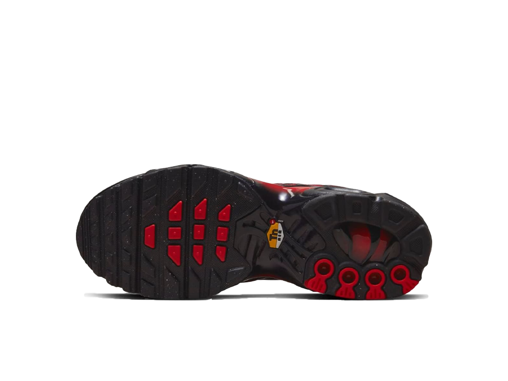 Nike Air Max Plus GS Bred Gradient-Nike-pikastore.cz