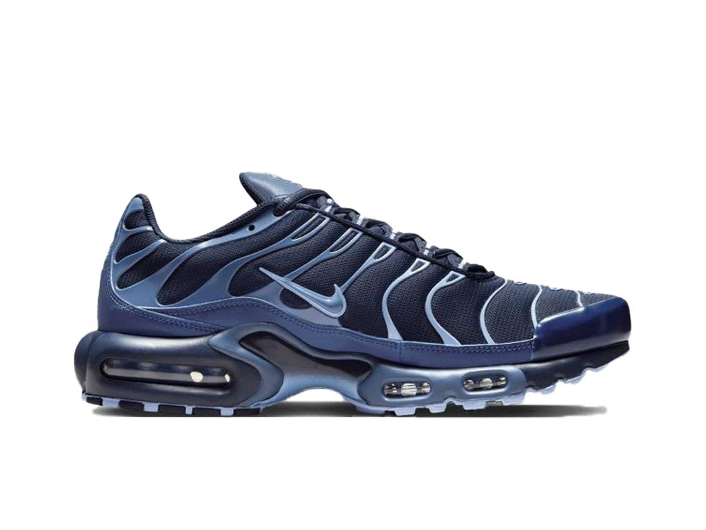 Nike Air Max Plus Obsidian Aluminum-Nike-pikastore.cz
