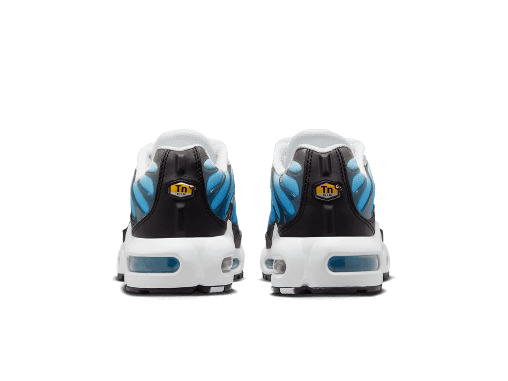 Nike Air Max Plus Baltic Blue (GS)-sneakers-Nike-pikastore.cz
