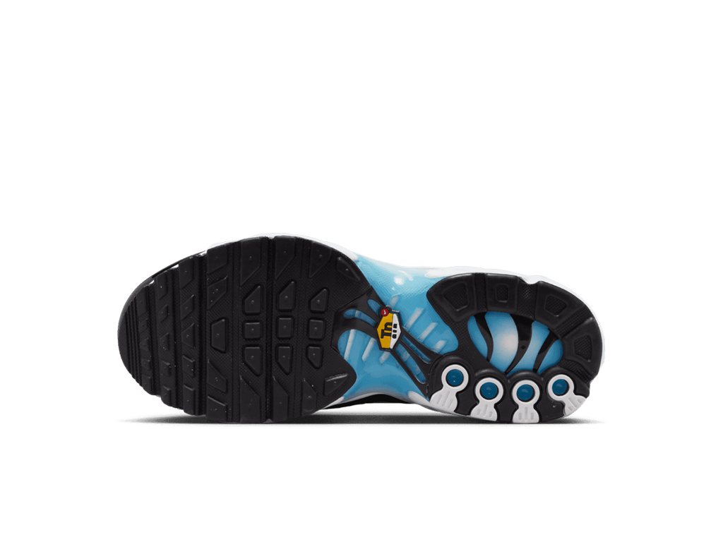Nike Air Max Plus Baltic Blue (GS)-sneakers-Nike-pikastore.cz