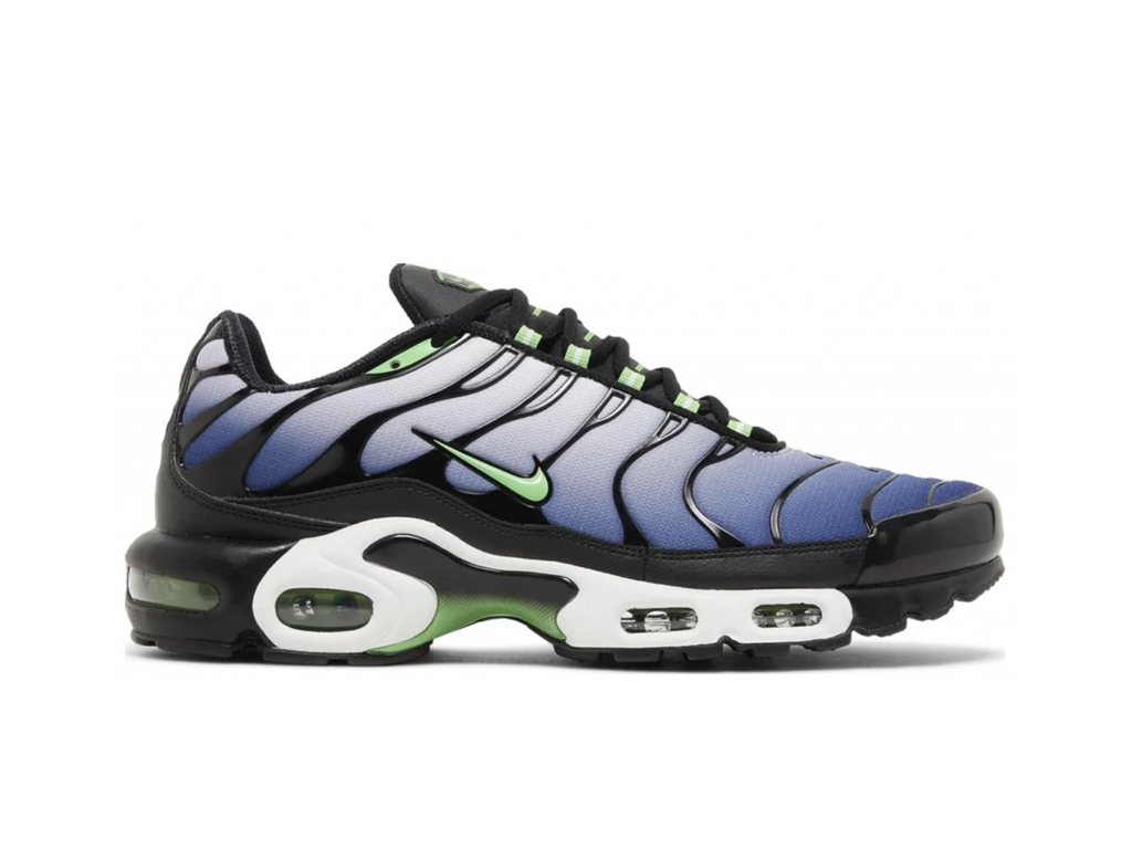 Nike Air Max Plus Icons