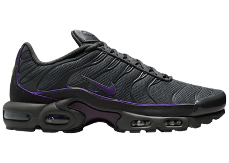 Nike Air Max Plus Iron Grey Wild Grape